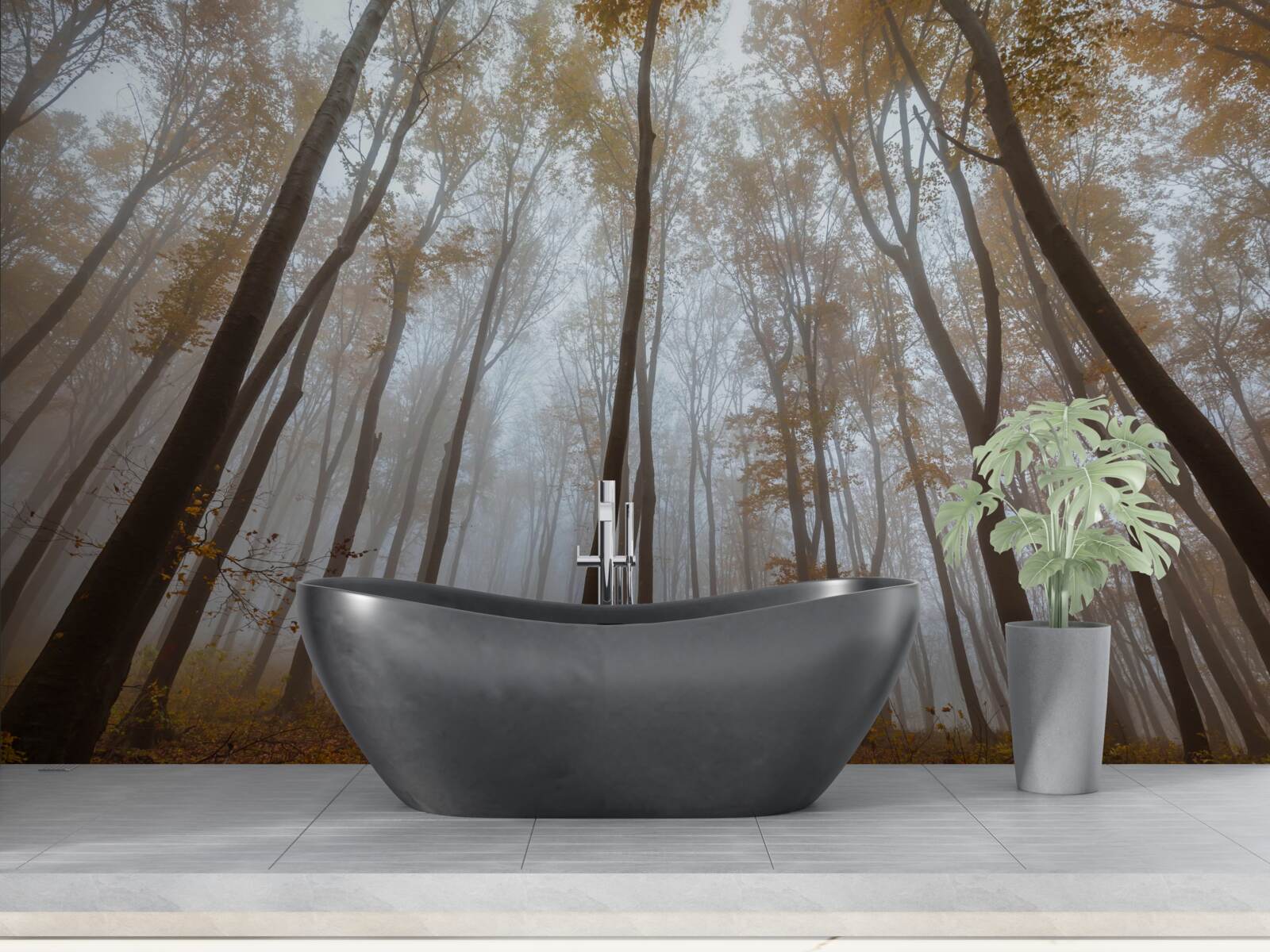 Fototapeta štíhle, vysoké stromy na jeseň