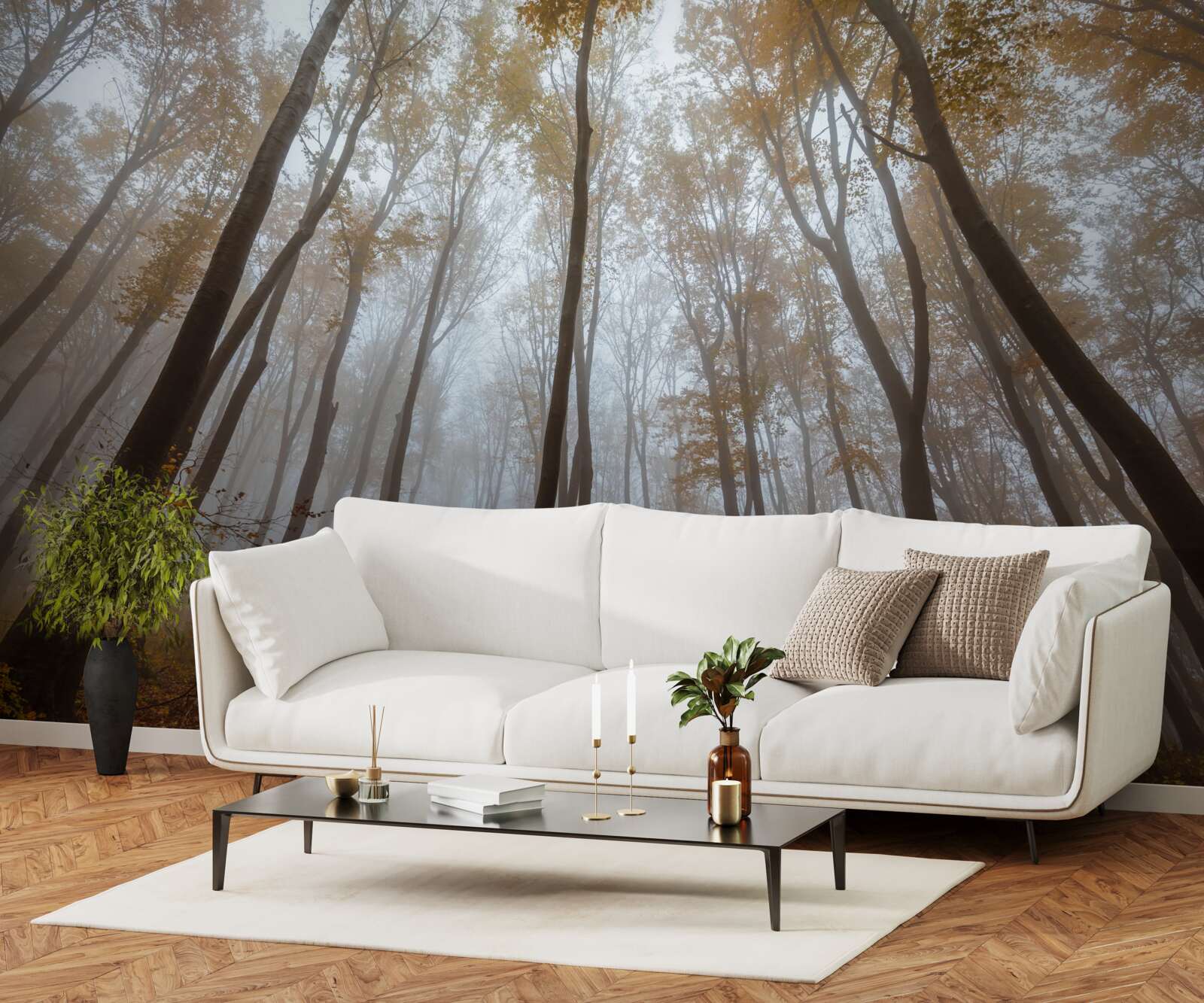 Fototapeta štíhle, vysoké stromy na jeseň