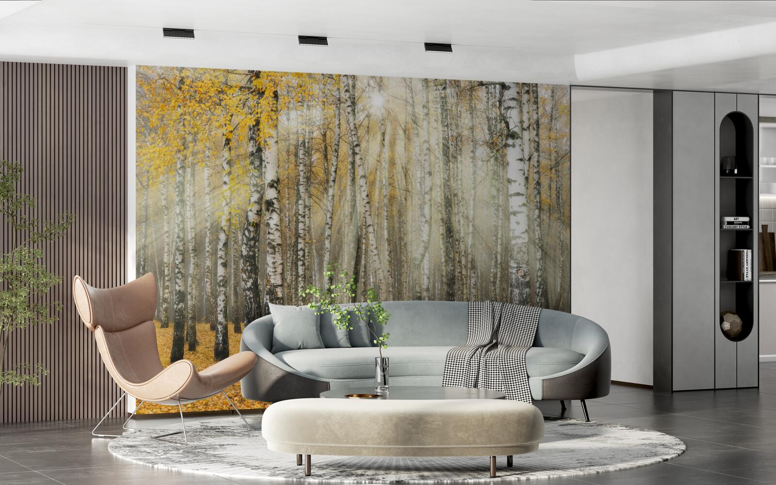 Fototapeta opadané brezové lístie v jesennom lese