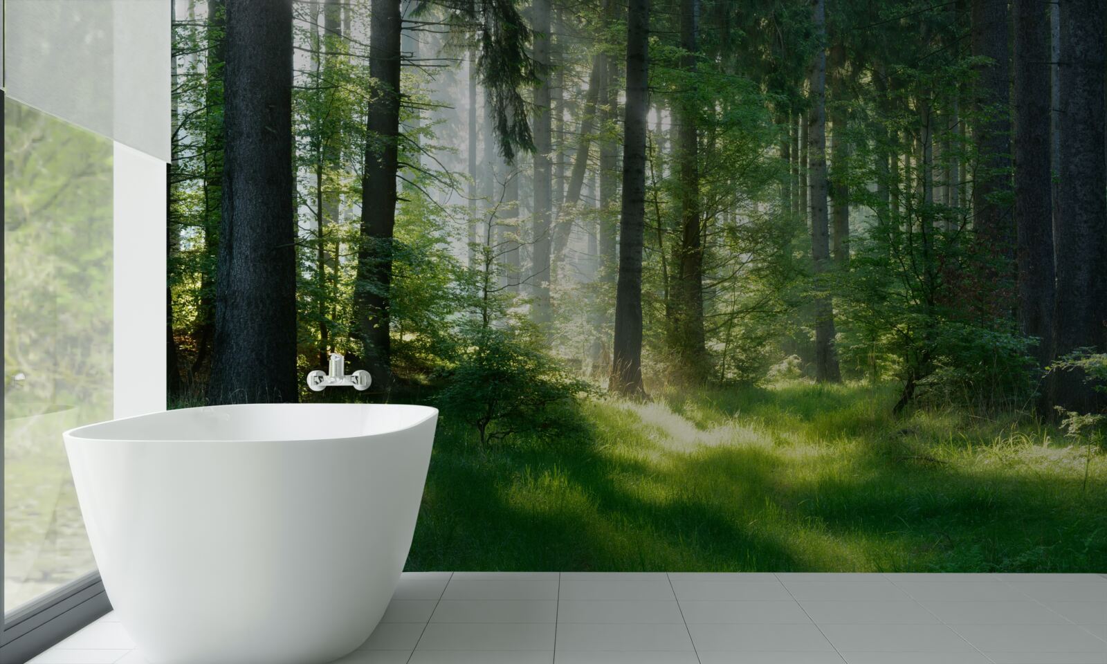 Fototapeta ráno v lese, obklopený zeleňou