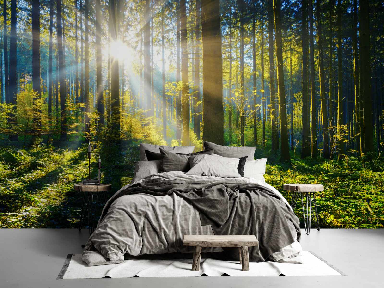 Fototapeta jasné svetlo ohrieva tmavú húštinu