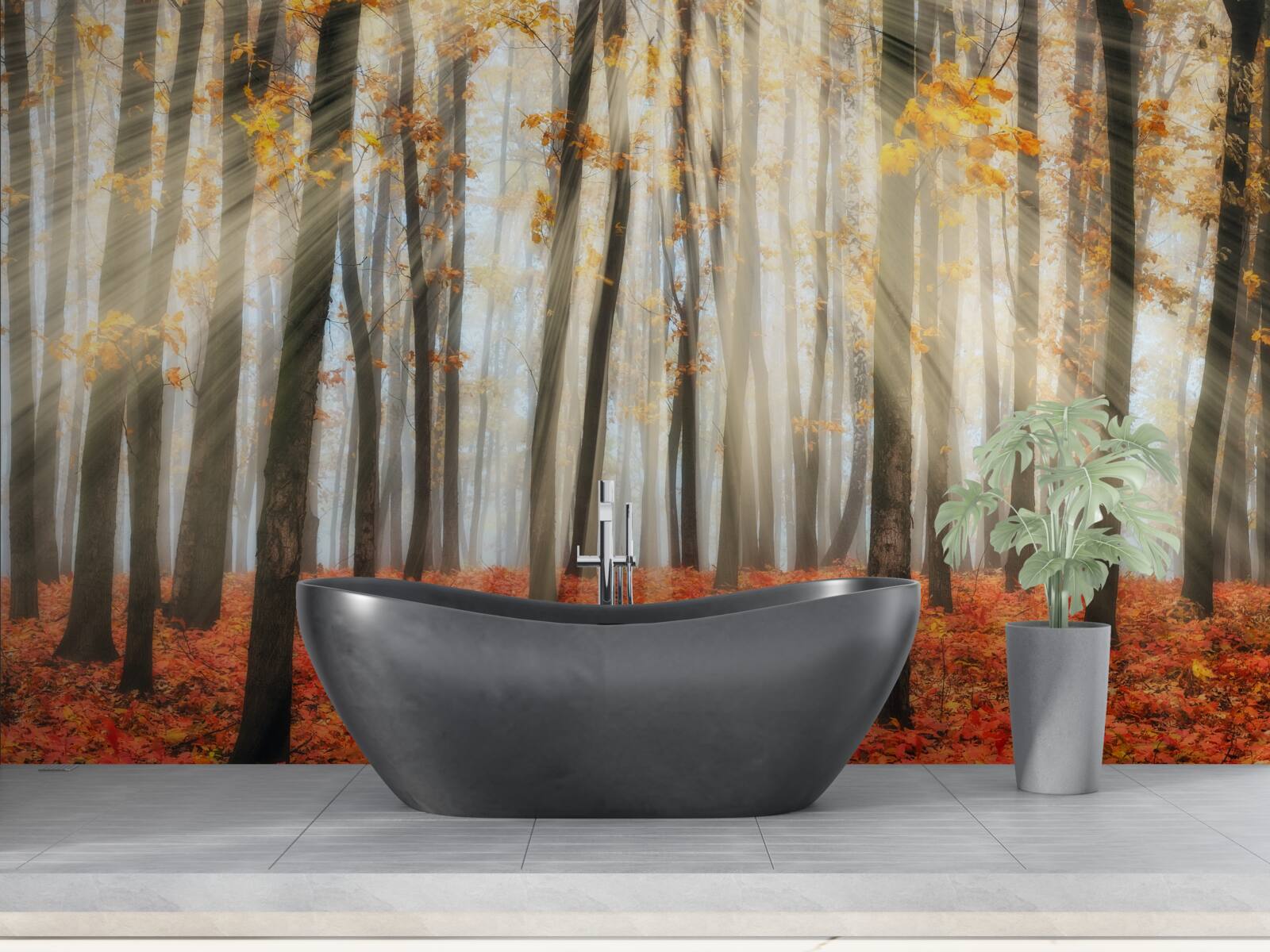 Fototapeta slnečné lúče a pôvabné jesenné stromy, ktoré stratili listy