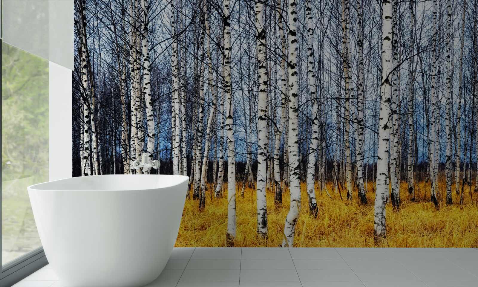 Fototapeta opadané brezové lístie na pozadí žltnúcej lesnej trávy