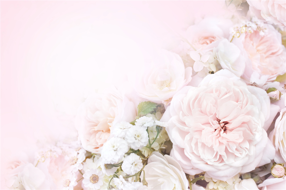 Fototapeta svetlé pozadie je zdobené jemnými kvetmi