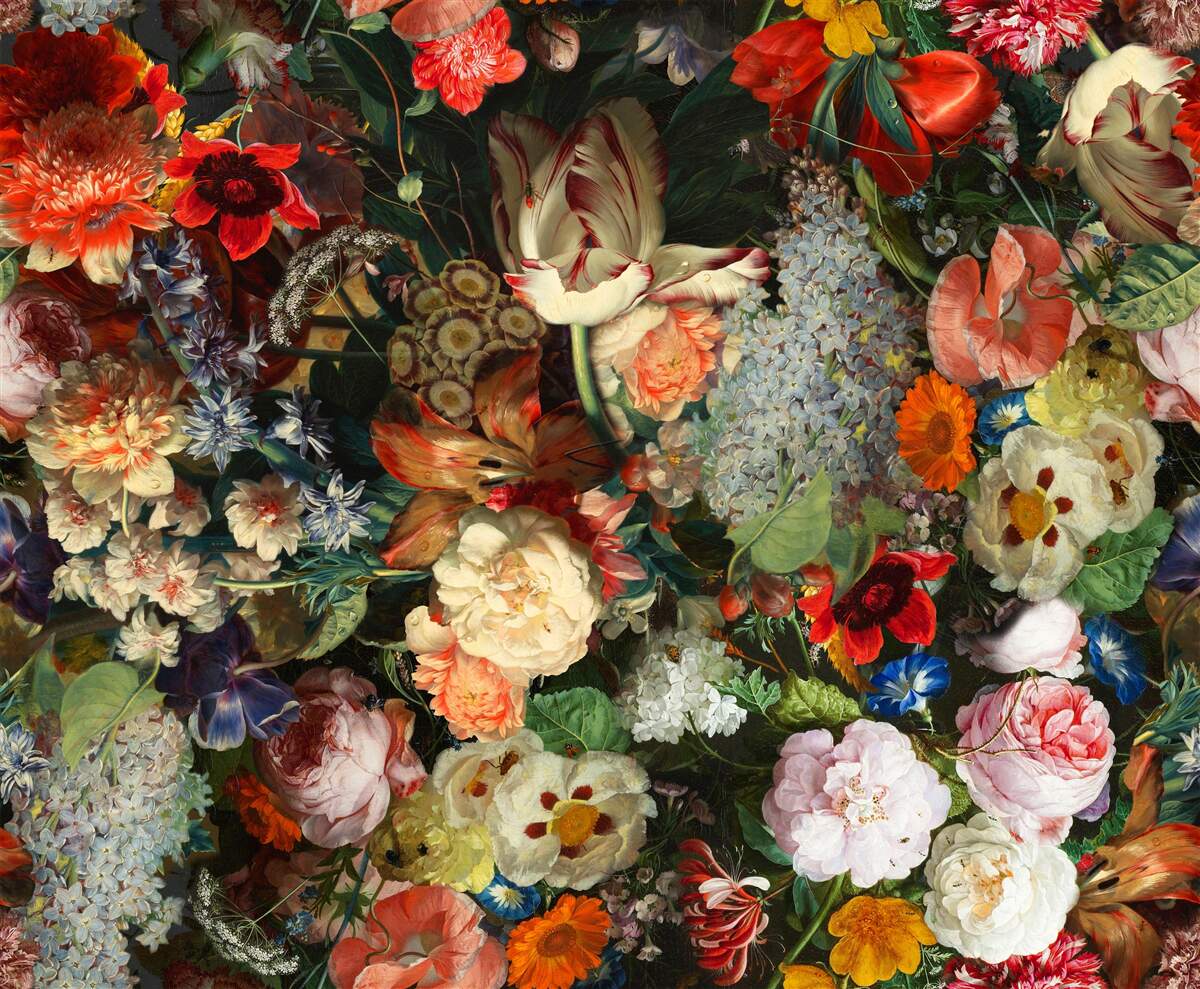 Fototapeta Živé sezónne kvety v plnom lete