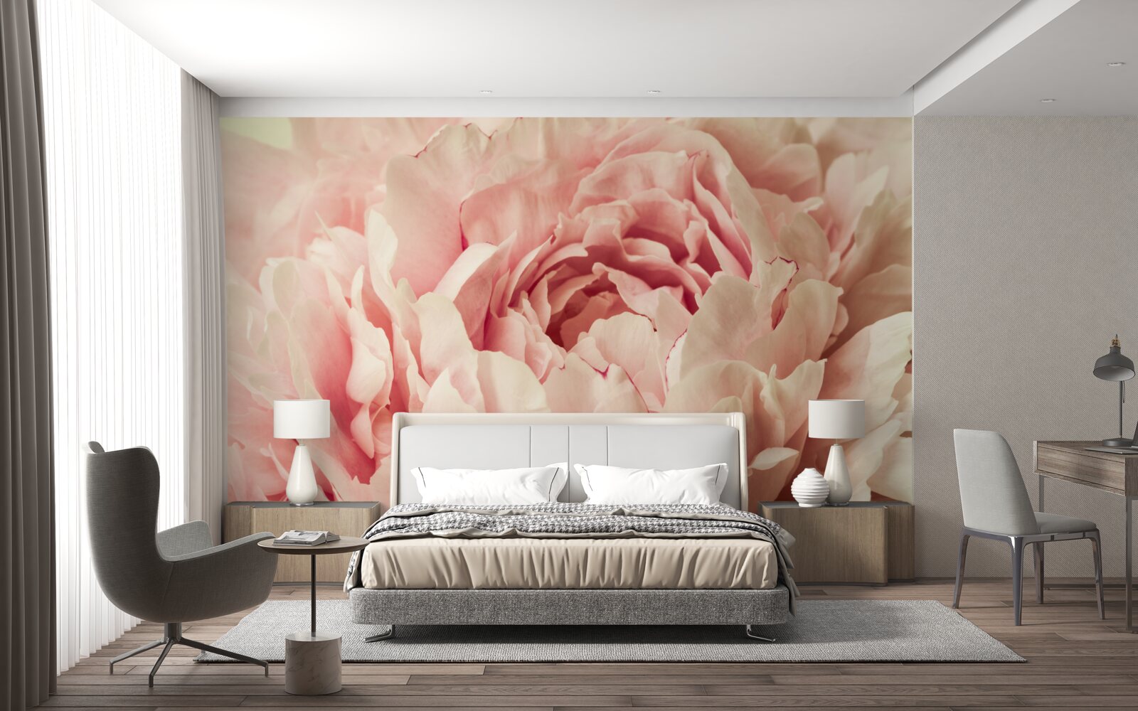 Fototapeta jemné granule kvetov astričiek