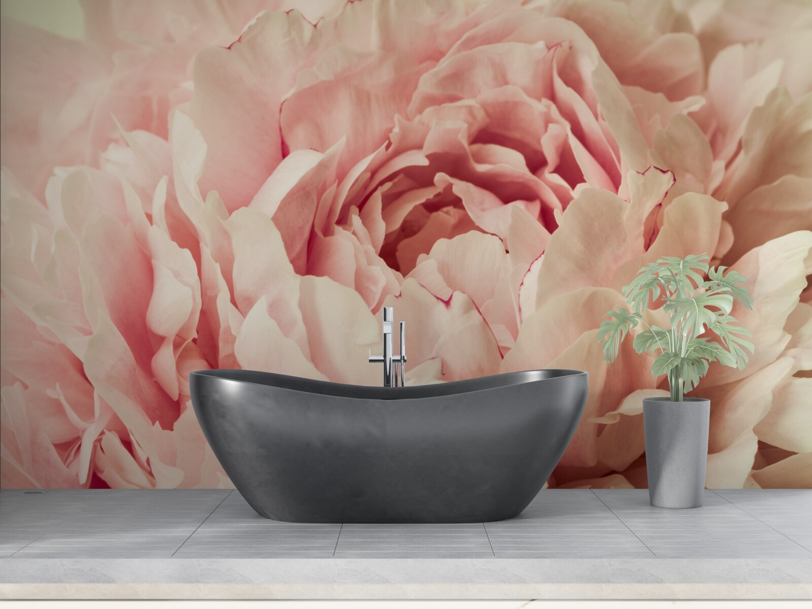 Fototapeta jemné granule kvetov astričiek