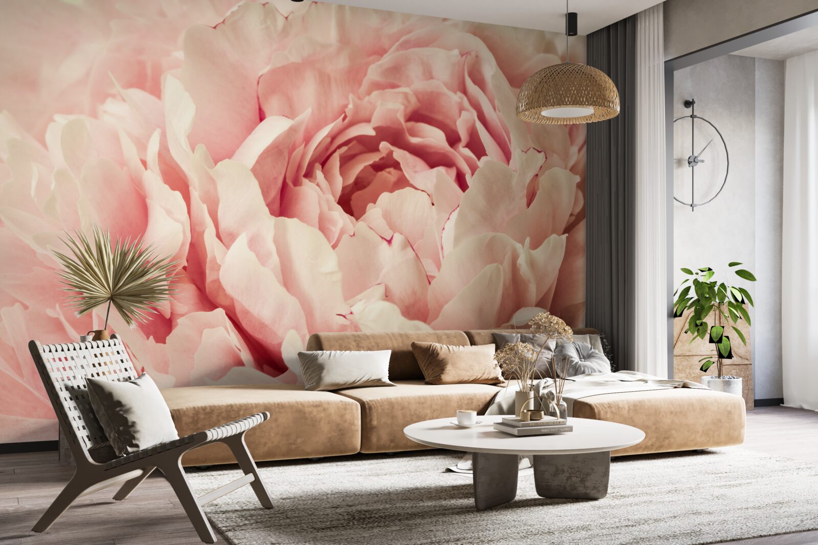 Fototapeta jemné granule kvetov astričiek