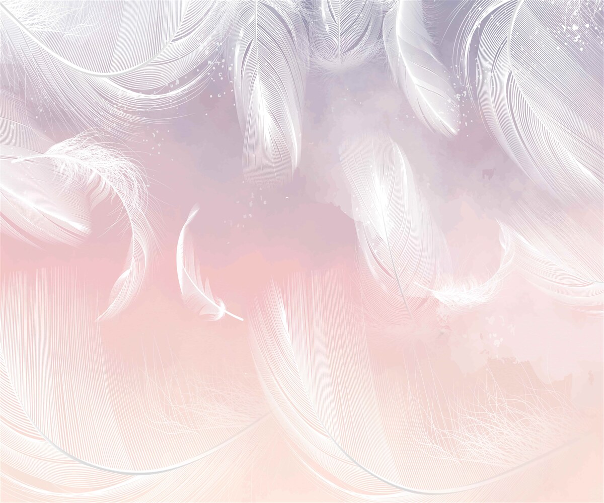 Fototapeta biele perie plávajúce vo večernom západe slnka