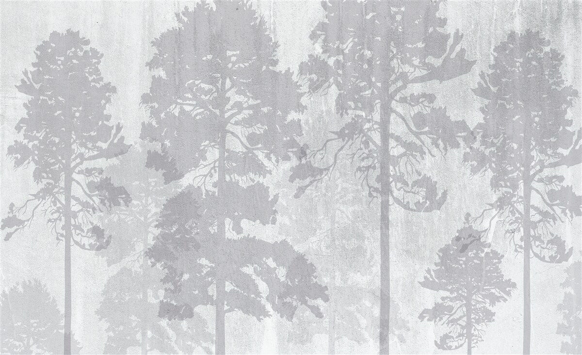 Fototapeta zahmlené obrysy lesných stromov na okraji vyzerajú štíhlo