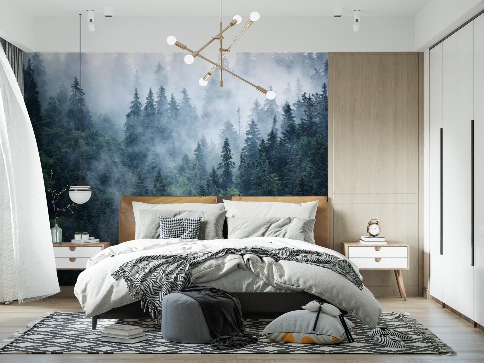 Fototapeta hmla padá na smrekový lesík