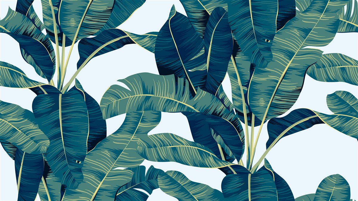 Fototapeta tmavozelené listy paprade sa prepletajú