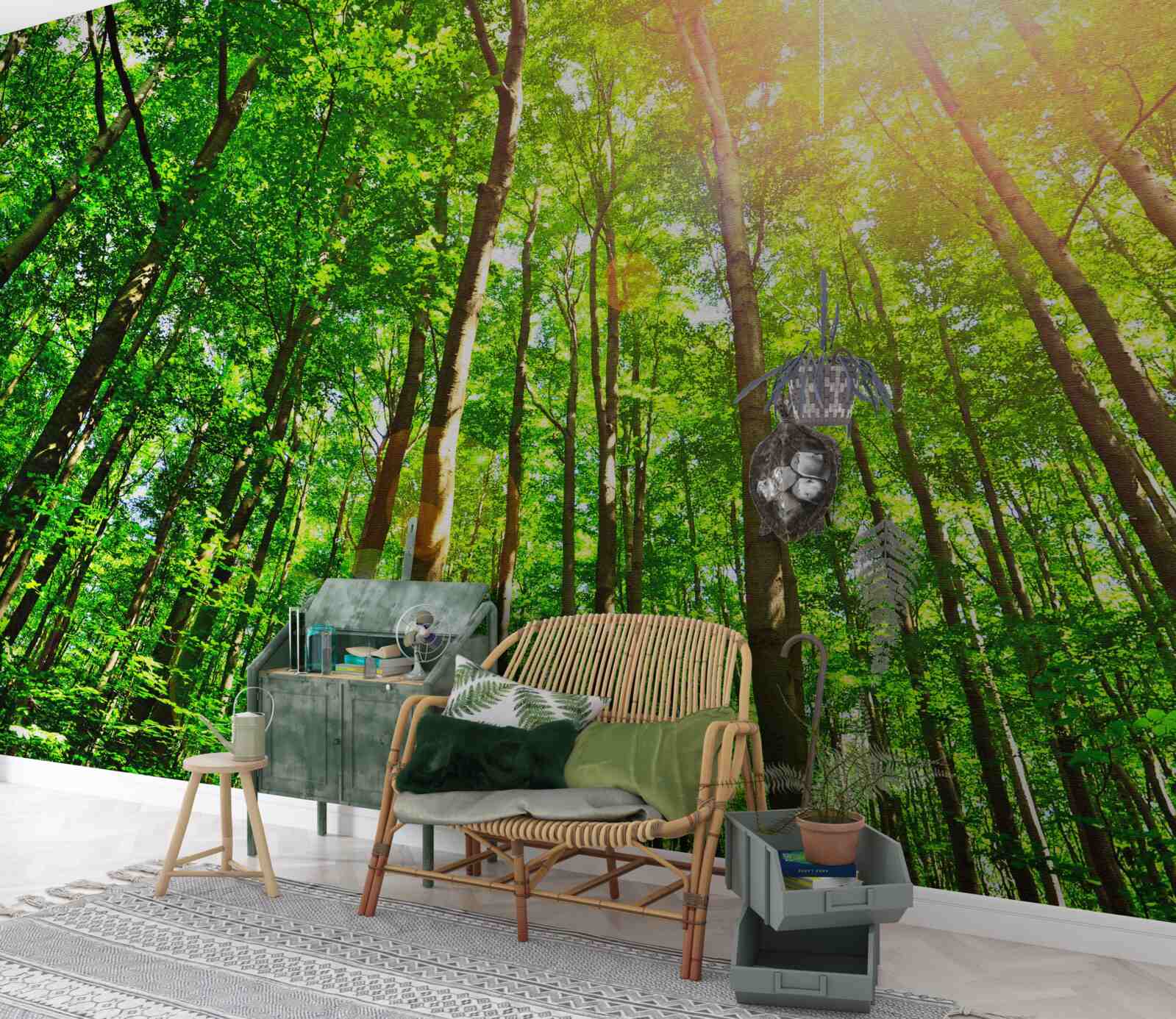 Fototapeta bohaté slnečné svetlo preniká cez husté okraje lesa