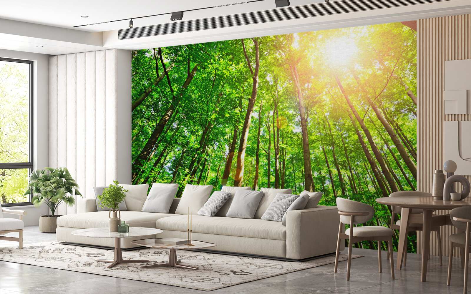 Fototapeta bohaté slnečné svetlo preniká cez husté okraje lesa