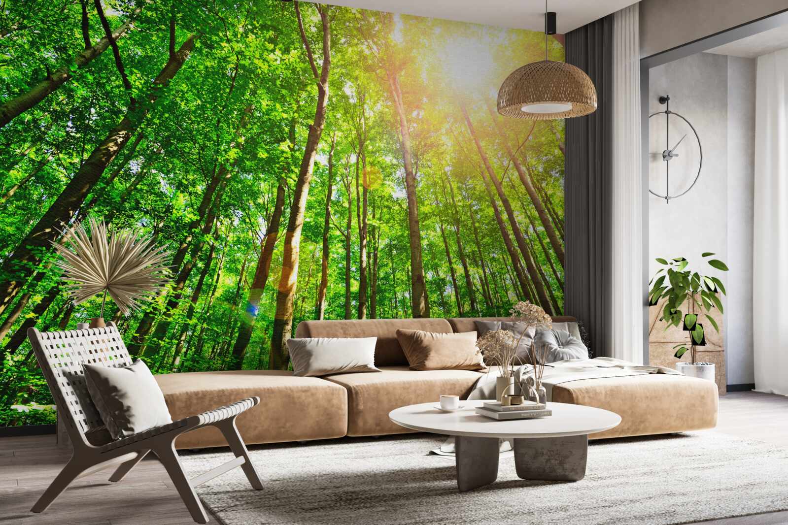 Fototapeta bohaté slnečné svetlo preniká cez husté okraje lesa