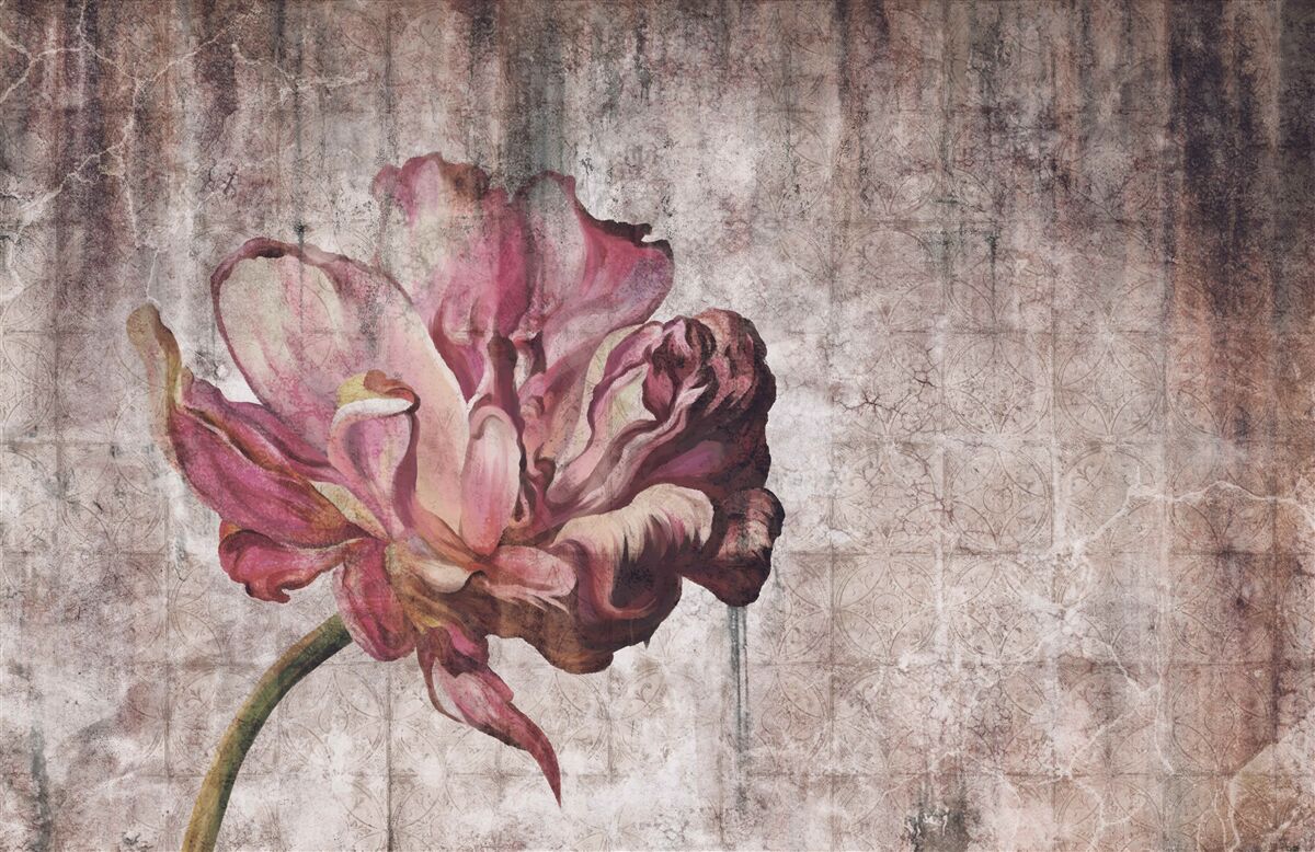 Fototapeta osamelý šarlátový kvet počas lejaku