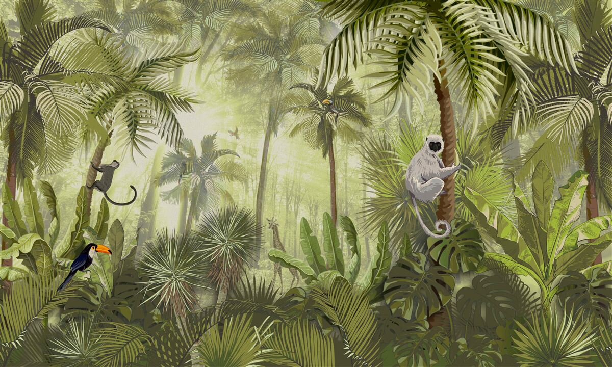 Fototapeta ranná hmla v tropických oblastiach