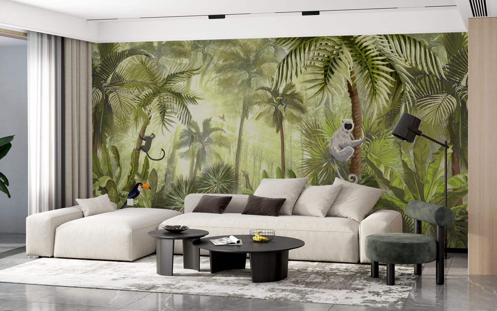 Fototapeta ranná hmla v tropických oblastiach