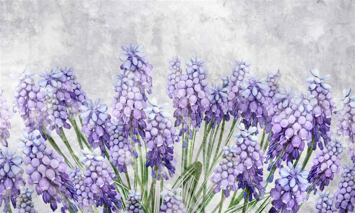 Fototapeta Lúka krásnych fialových kvetov