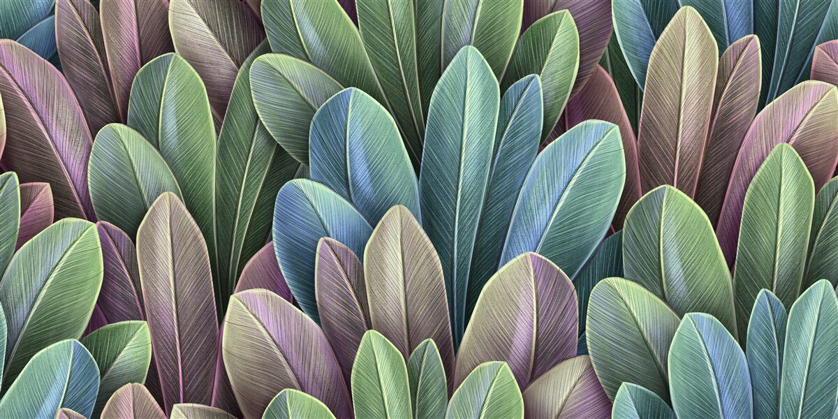 Fototapeta jemnosť farebného spektra jesenných lesných listov