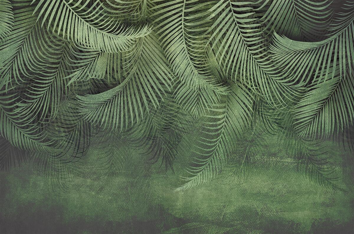 Fototapeta listy palmy večernej sú husté