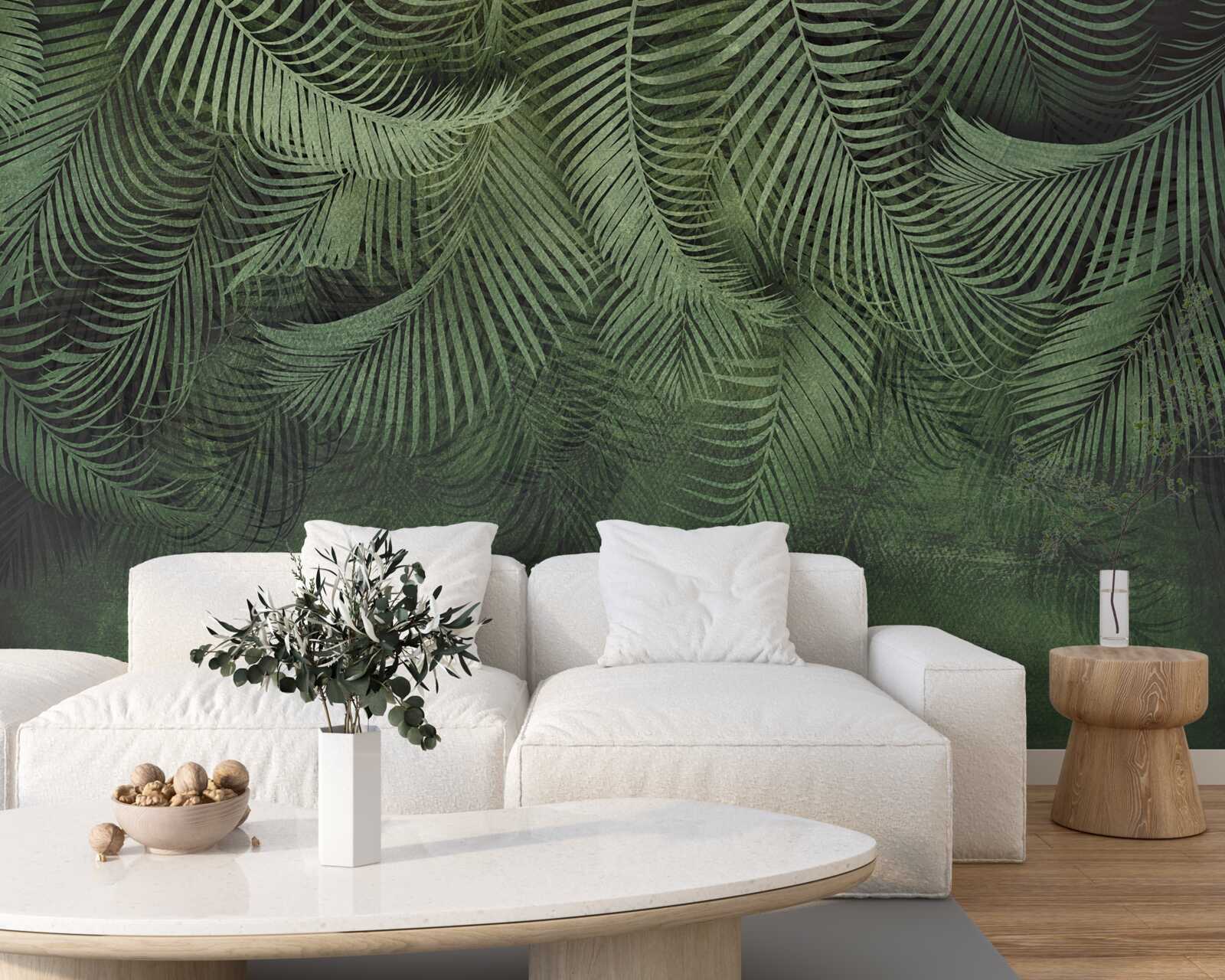 Fototapeta listy palmy večernej sú husté