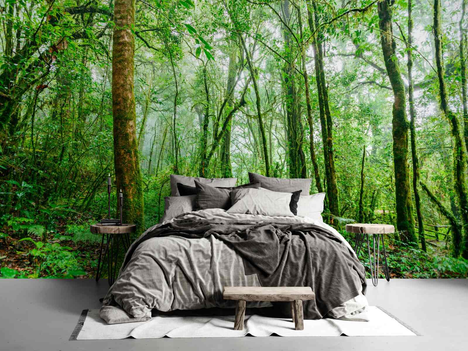 Fototapeta les osviežený po daždi sa zmenil na smaragd