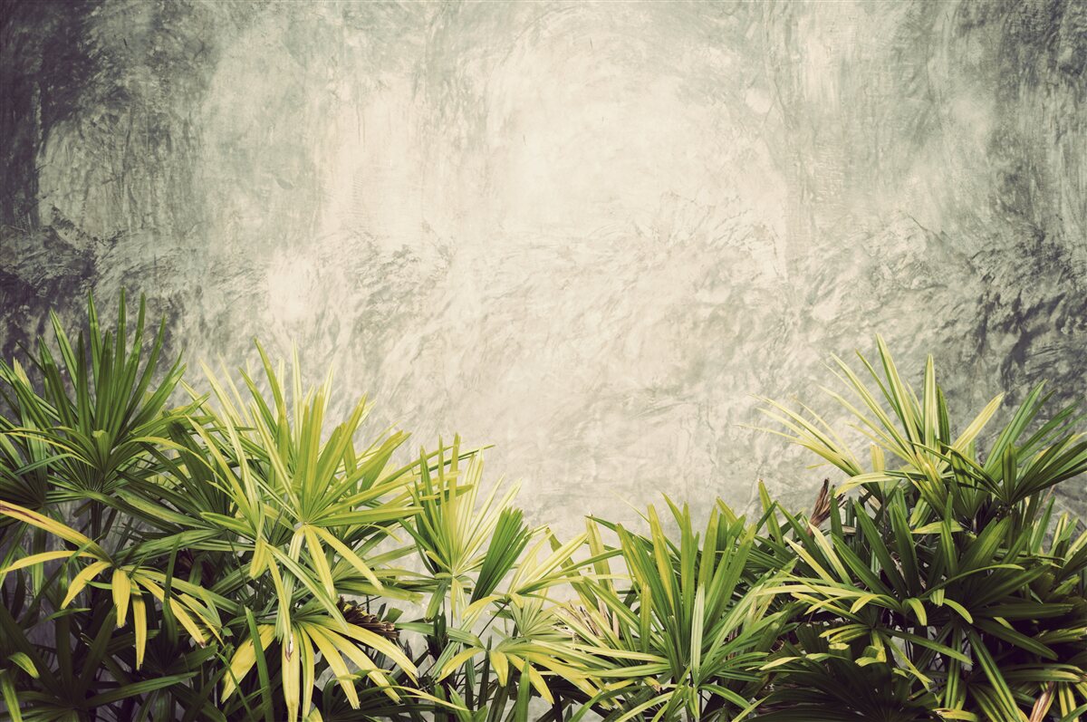 Fototapeta hmlistá prikrývka pokrýva zelené rastliny v džungli