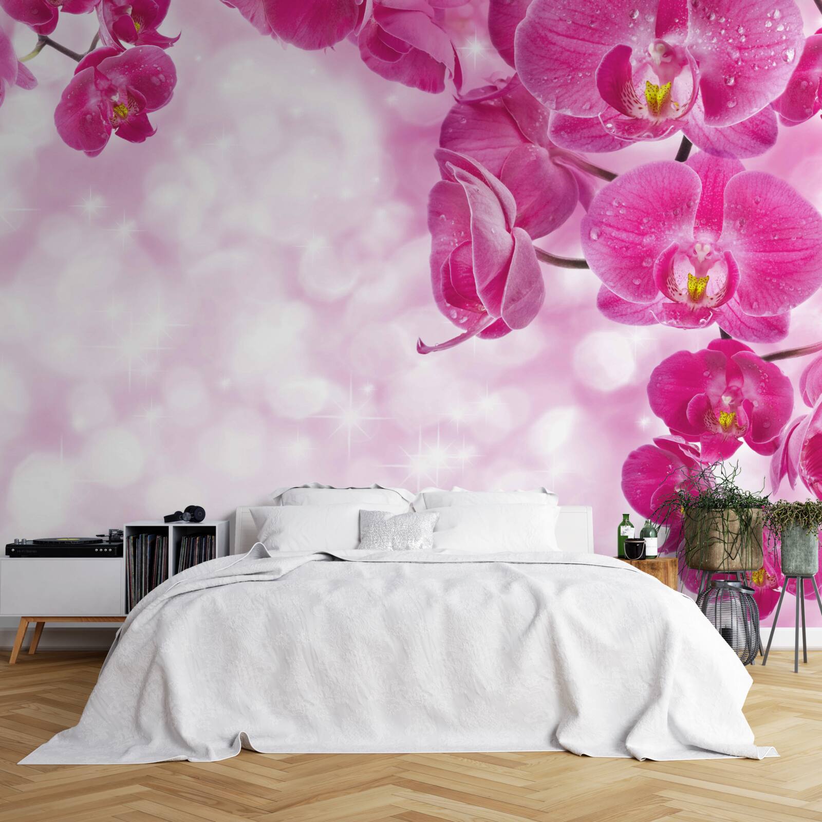 Fototapeta orchidea s jemným fialovým odtieňom