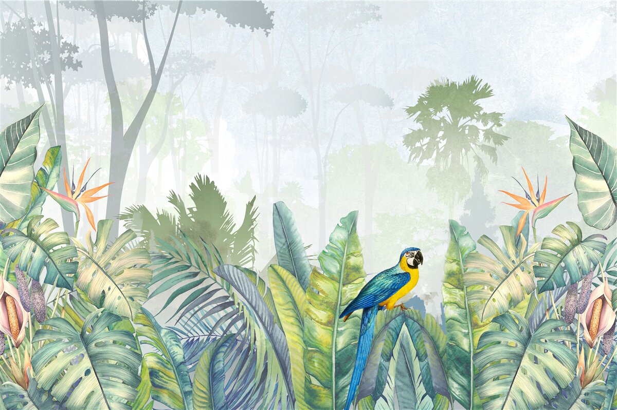 Fototapeta papagáj relaxuje na palmových listoch