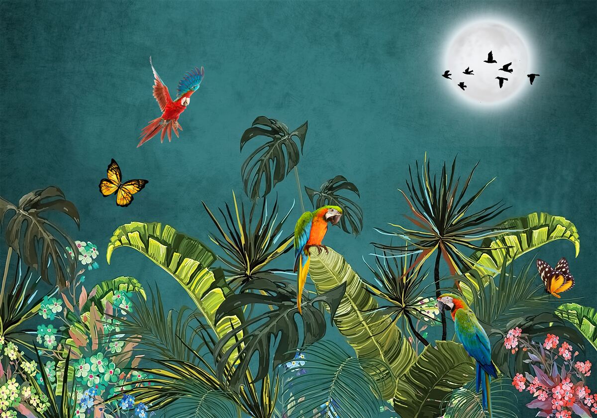 Fototapeta tropický les pod rúškom noci