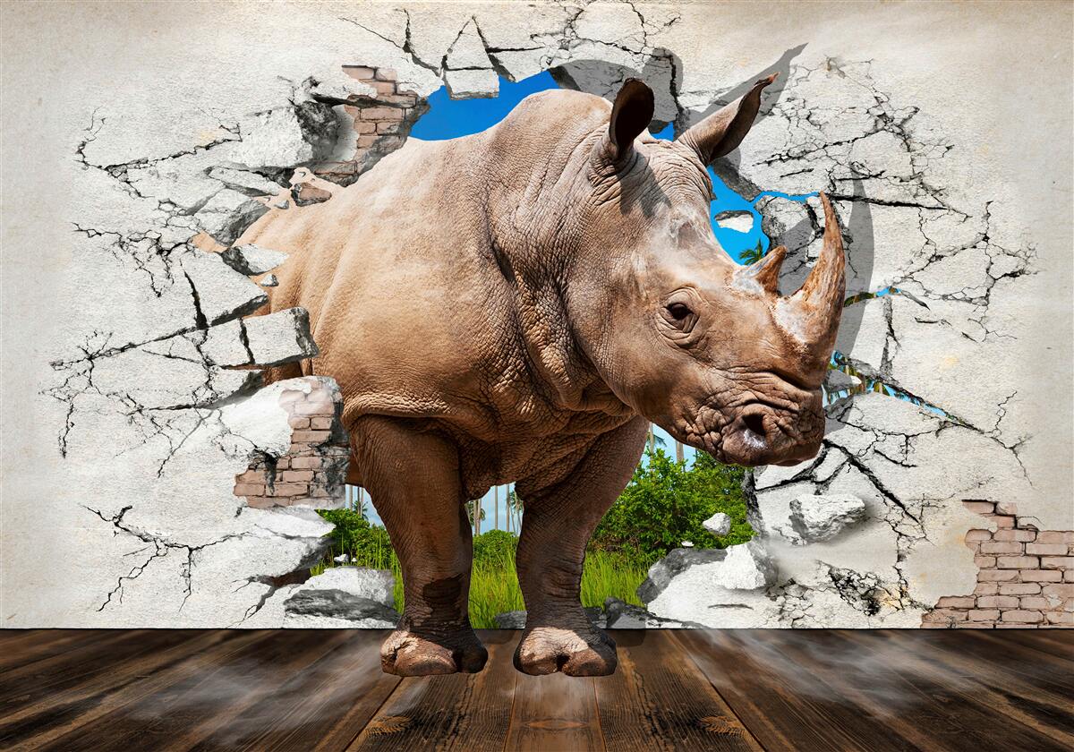 Fototapeta Stena sa zrúti pod silou nosorožca