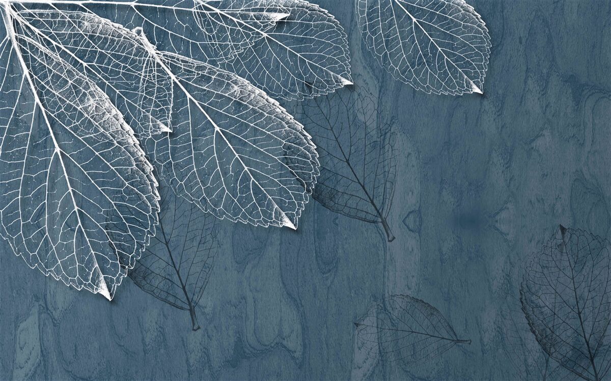 Fototapeta listy sú priehľadné ako motýlie krídla