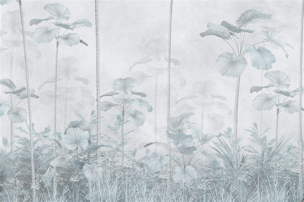 Fototapeta hustá hmla v tropických oblastiach