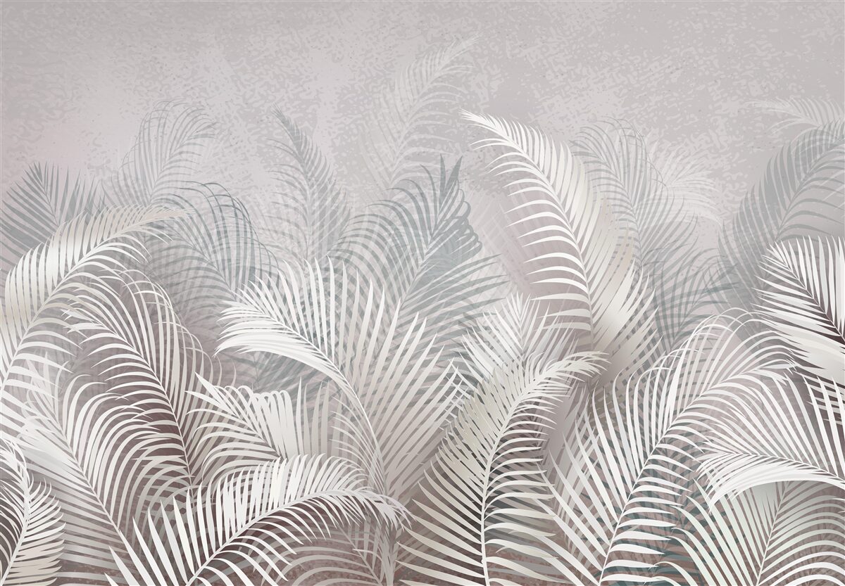 Fototapeta hmla jemne pokrýva majestátne palmové listy