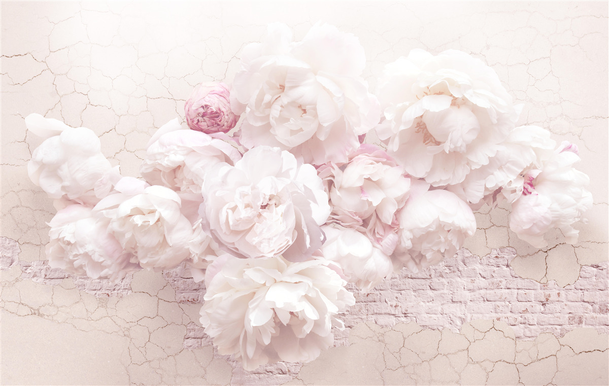 Fototapeta bujné kvetinové butiky na skalnatom pozadí