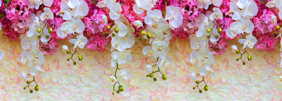 Fototapeta orchidey, ktorých kvety padajú