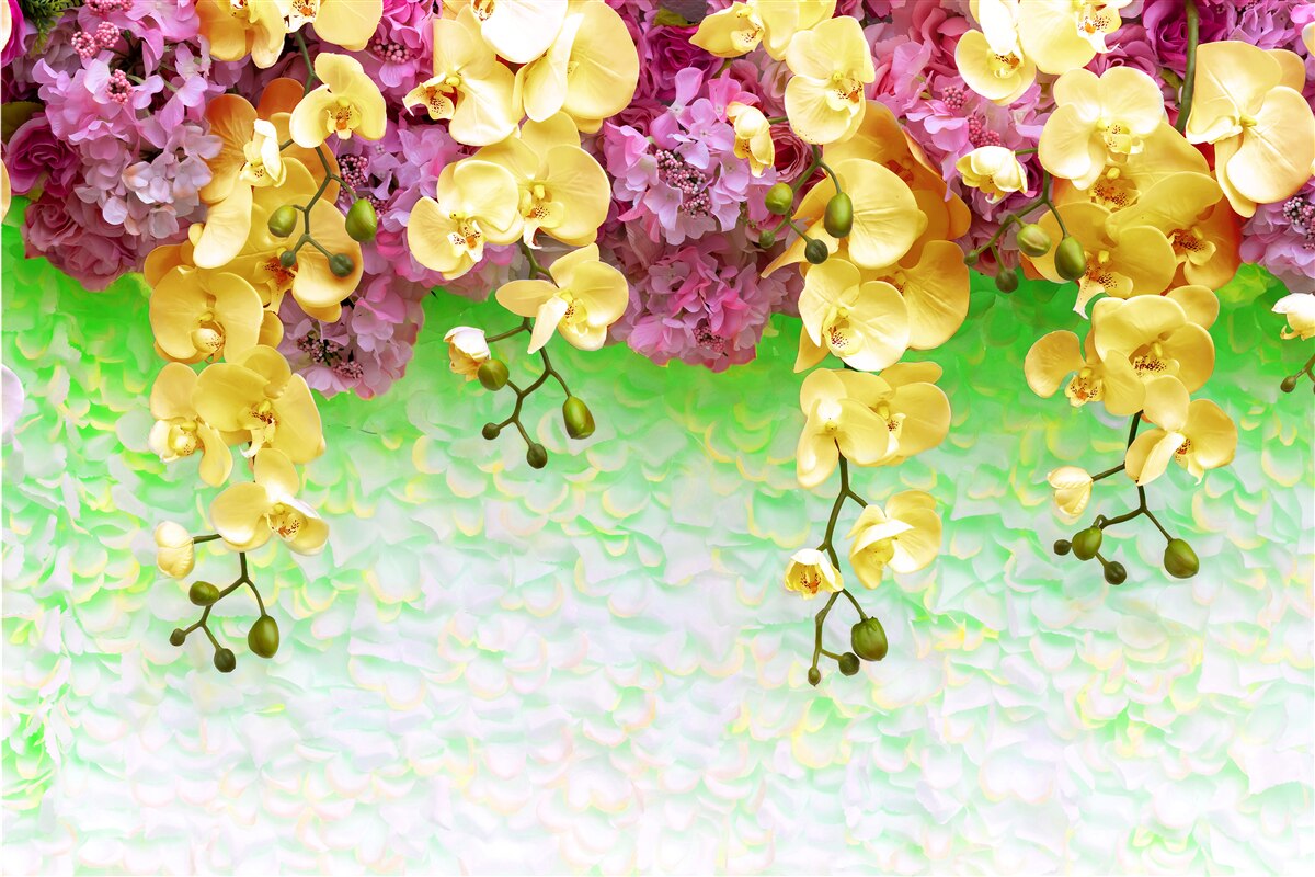 Fototapeta horľavé žltočervené púčiky na svetlom podklade