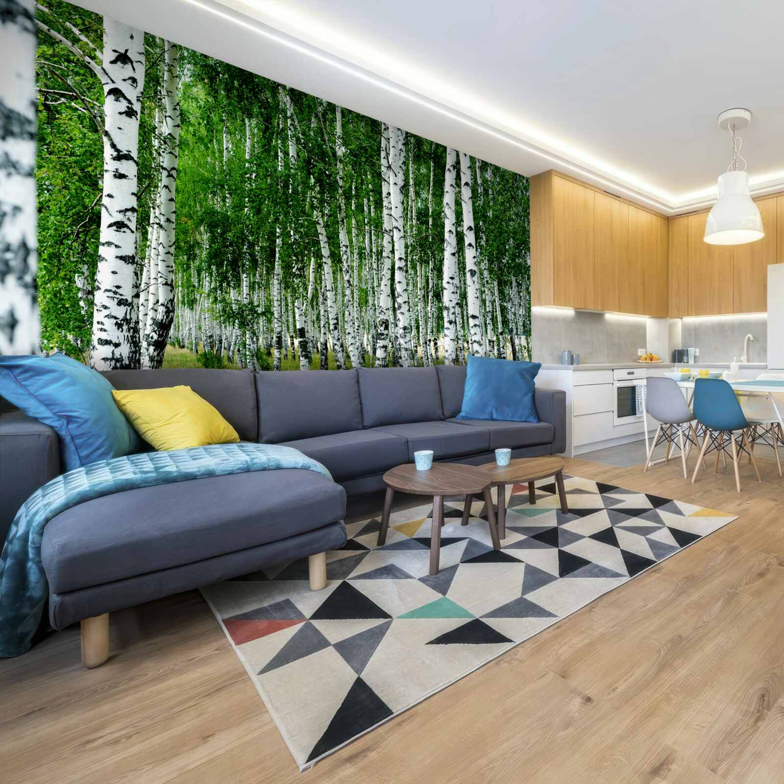 Fototapeta zelené brezy s pôvabnými kmeňmi na otvorenom poli