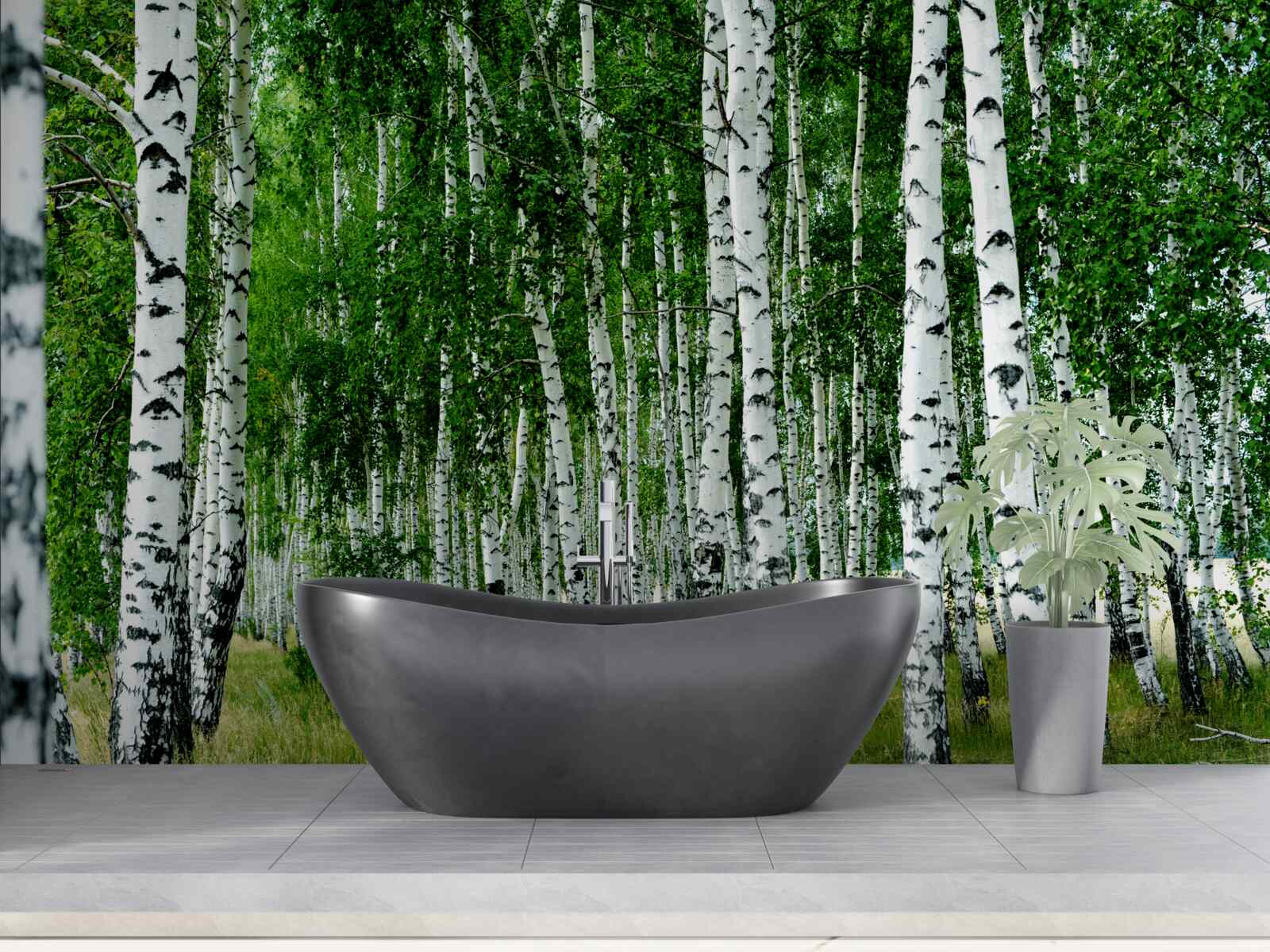 Fototapeta zelené brezy s pôvabnými kmeňmi na otvorenom poli