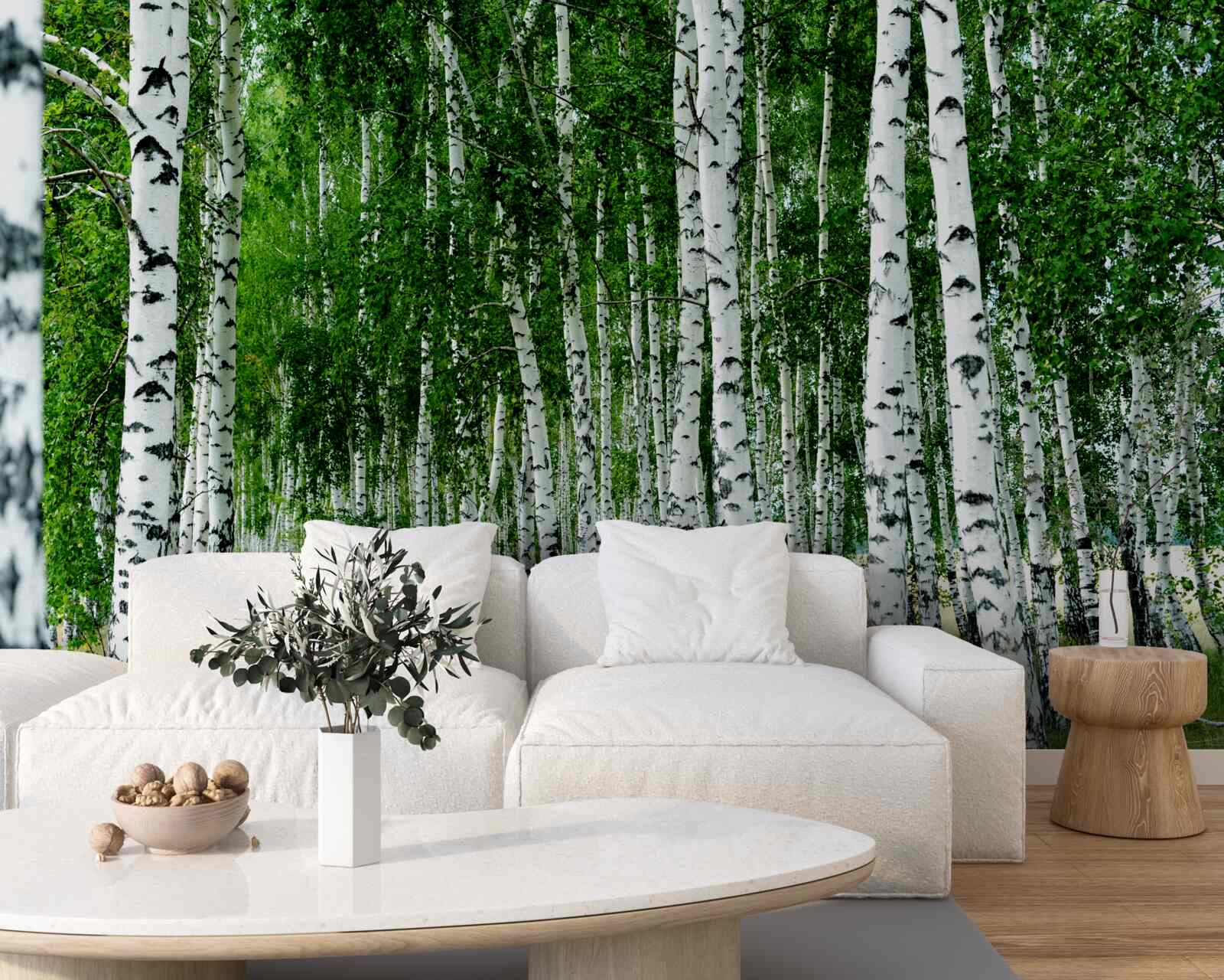 Fototapeta zelené brezy s pôvabnými kmeňmi na otvorenom poli