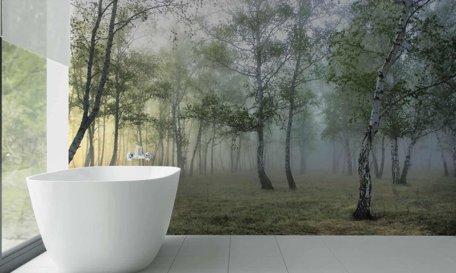 Fototapeta vysoké brezy zahalené rannou hmlou