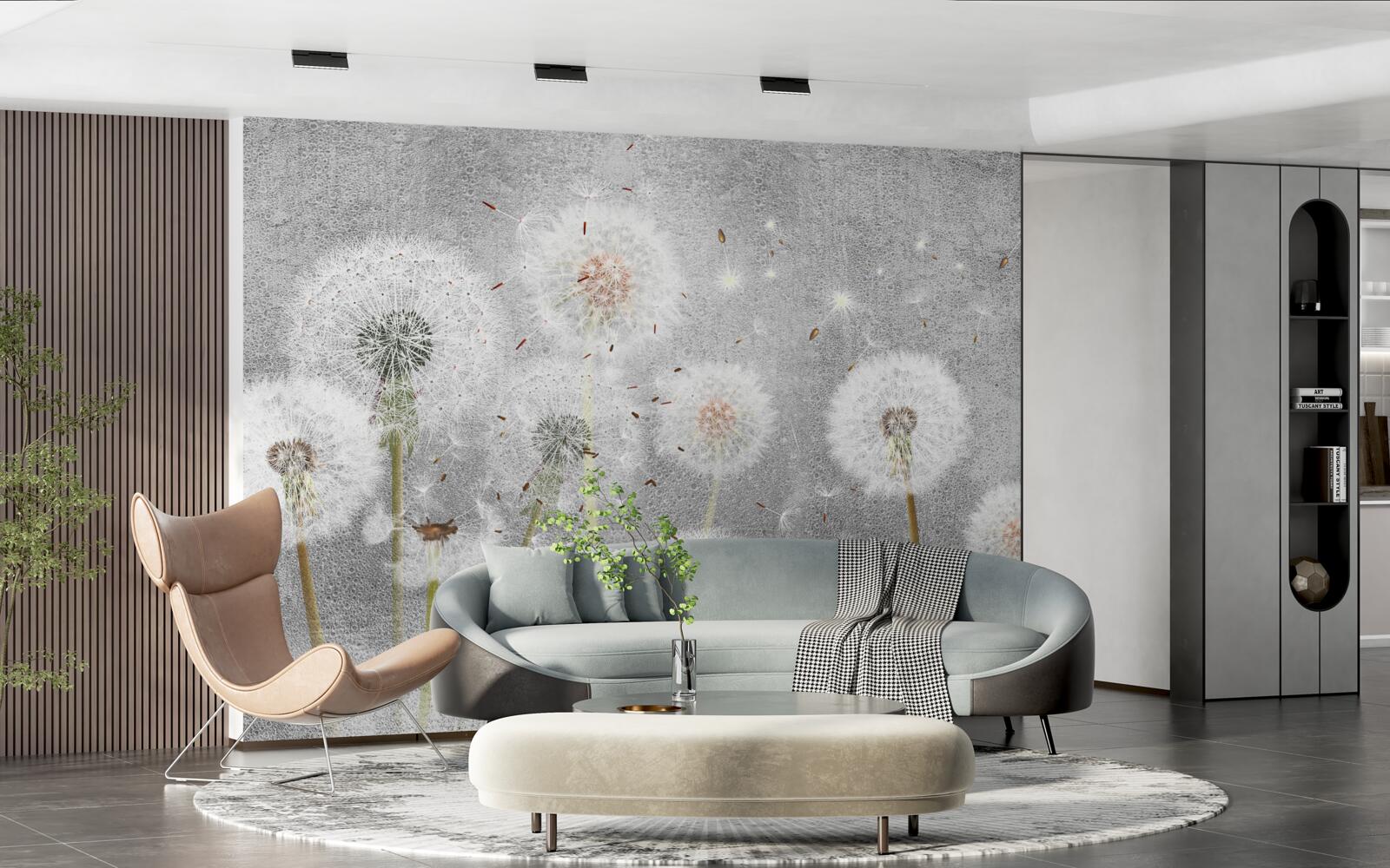 Fototapeta nahnevané zvädnuté púpavy