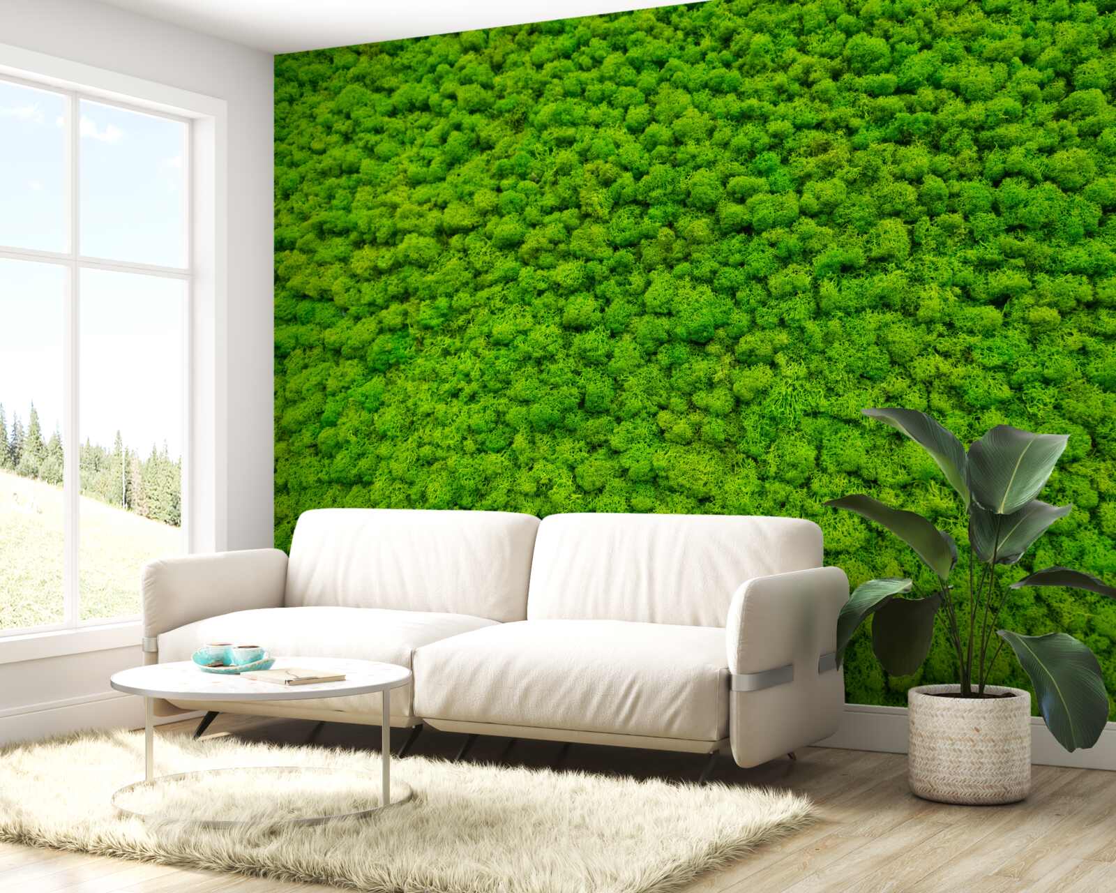 Fototapeta pohľad na zelený list z vysokého bodu