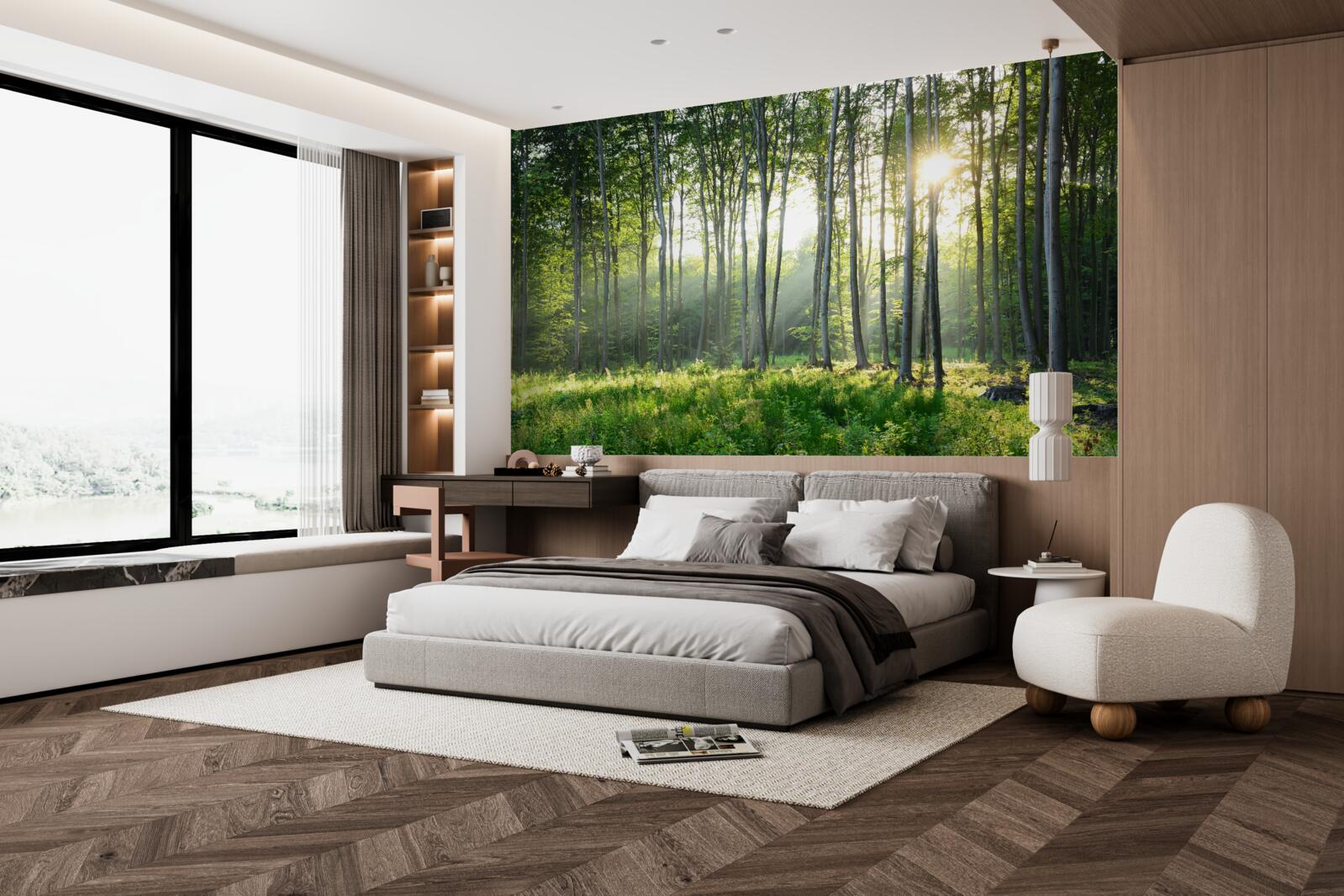 Fototapeta miesto v prírode s výhľadom na ranné slnko v lese