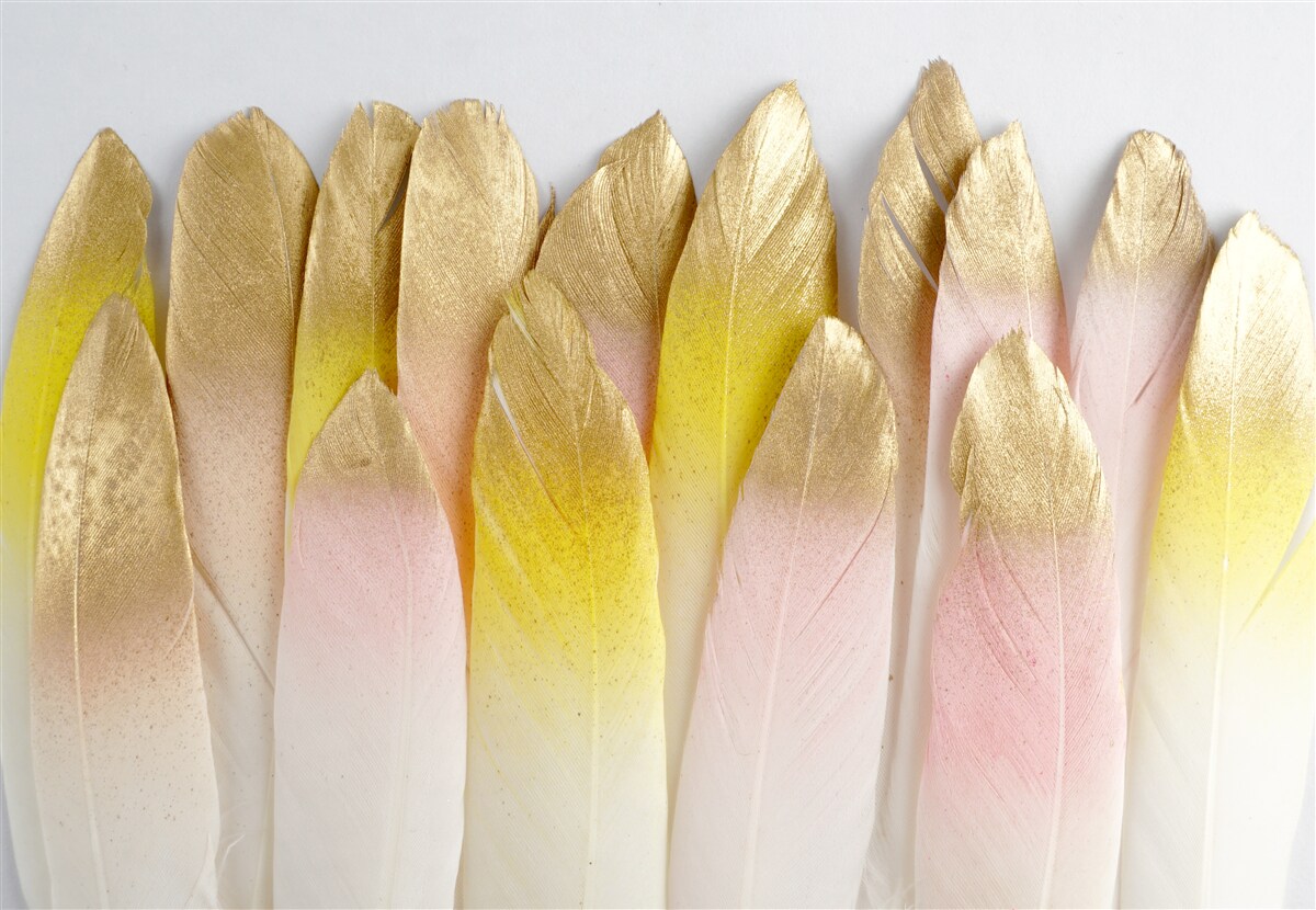 Fototapeta dlhé gradientné perie