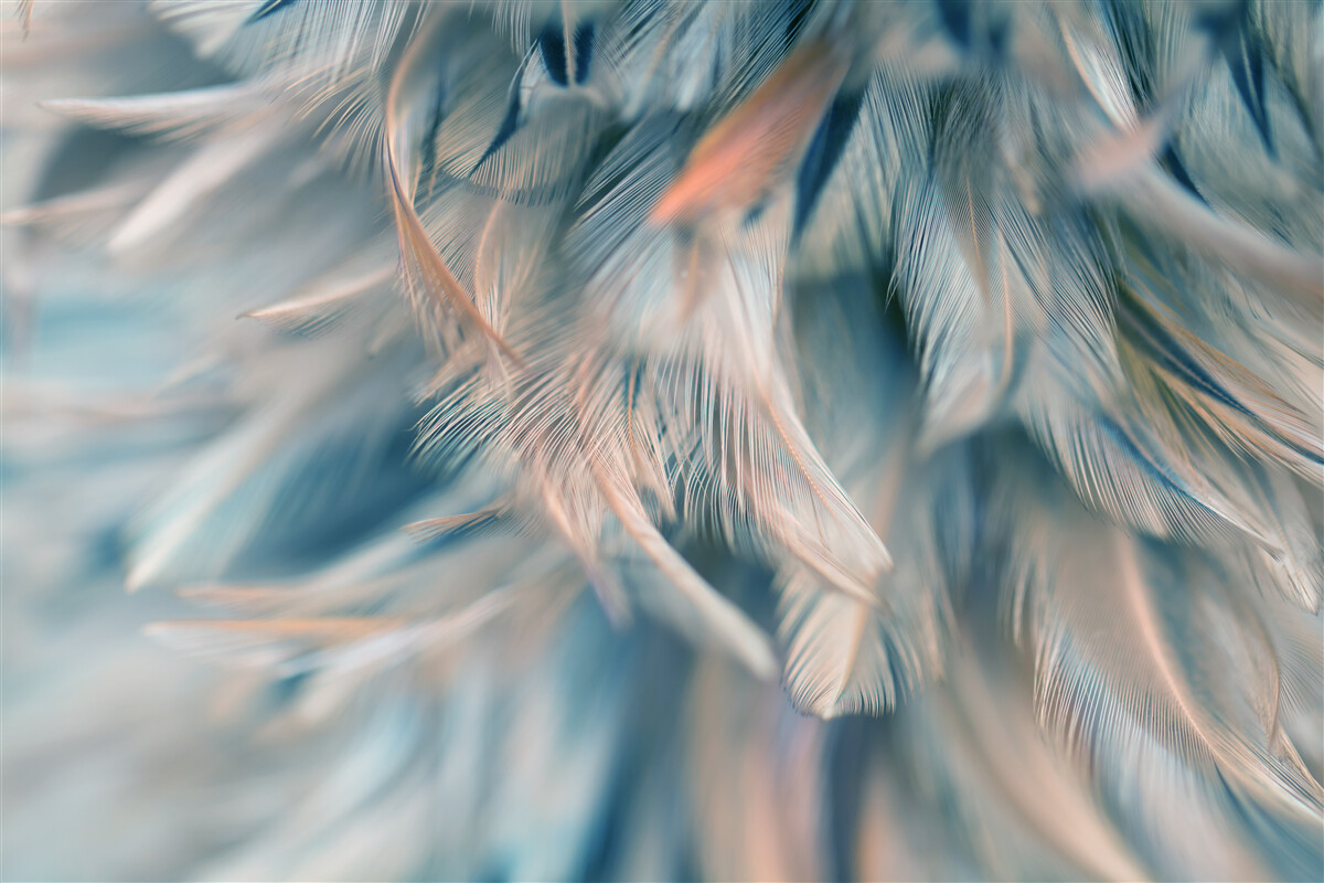 Fototapeta mäkké pozadie vyrobené z rôznych pierok