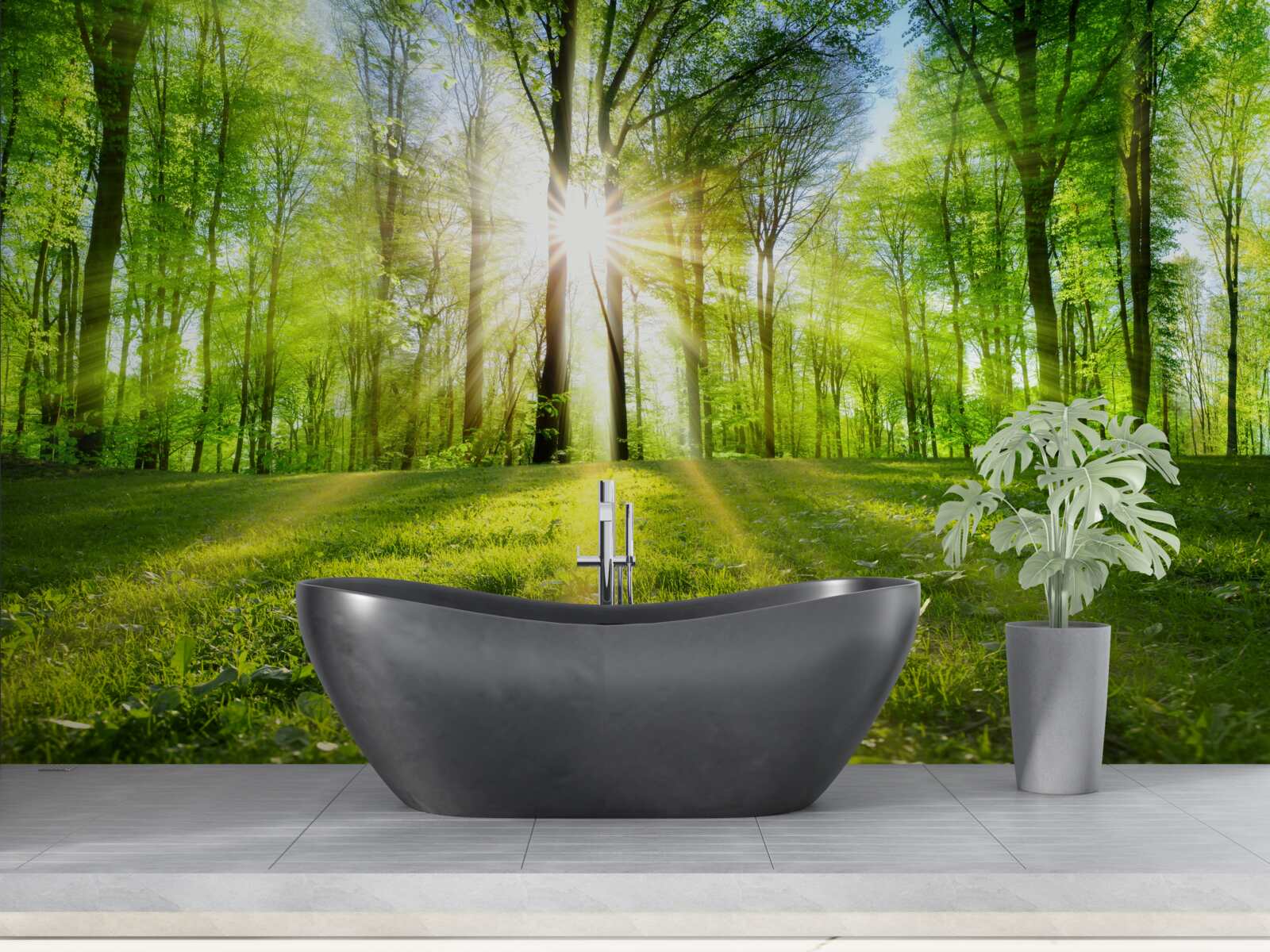 Fototapeta v zelených húštinách lesa vychádza slnko