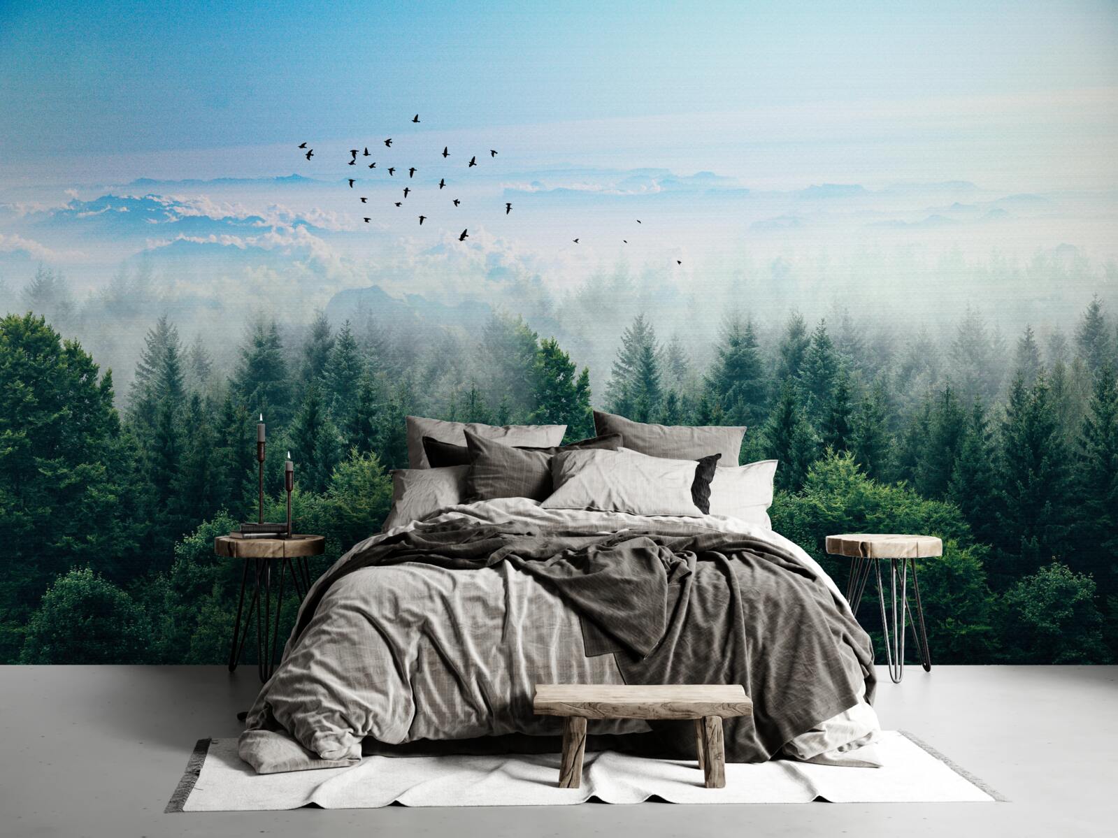 Fototapeta vtáky sa vznášajú vysoko nad korunami lesných obrov