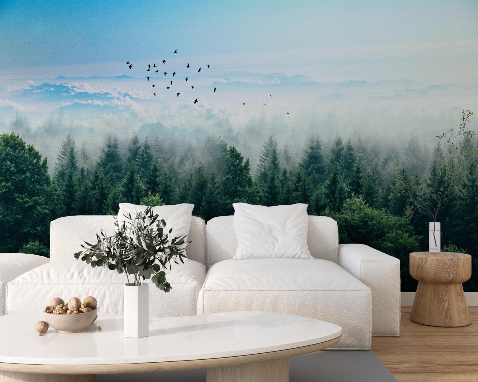 Fototapeta vtáky sa vznášajú vysoko nad korunami lesných obrov